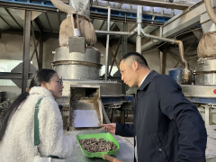 别扔！桐乡这些废木材竟然能当生物燃料